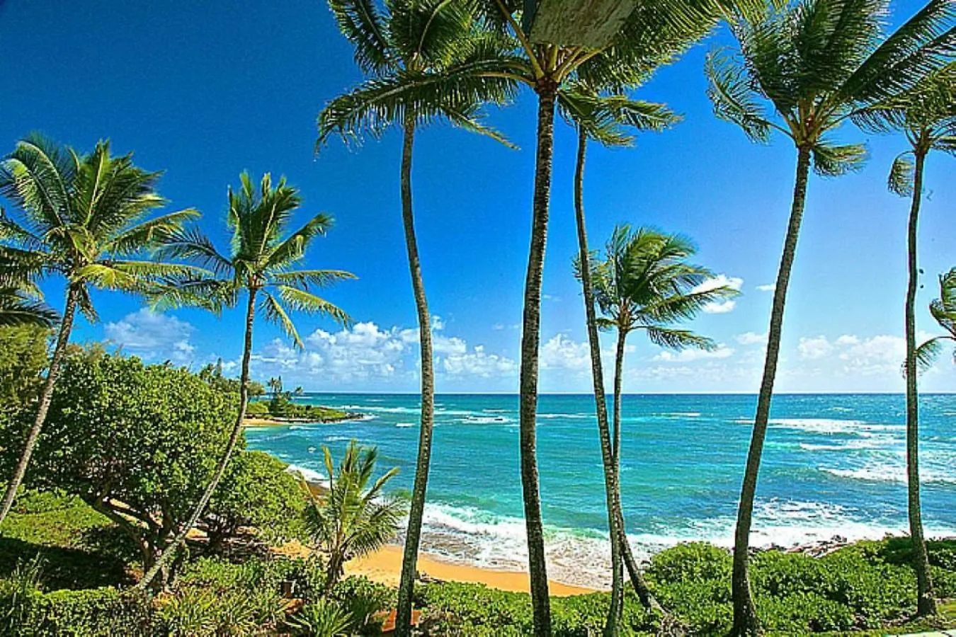 度假居 Luxury Oceanfront Ground Floor Condo 卡帕阿